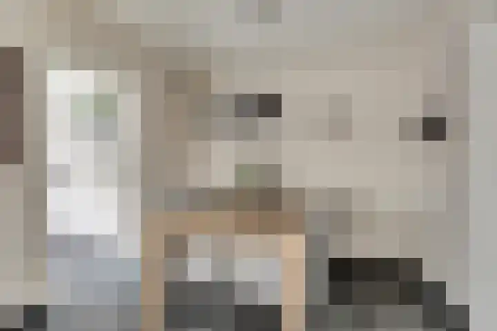 Vincent van Goghstraat 5 Raamsdonksveer thumbnail 16