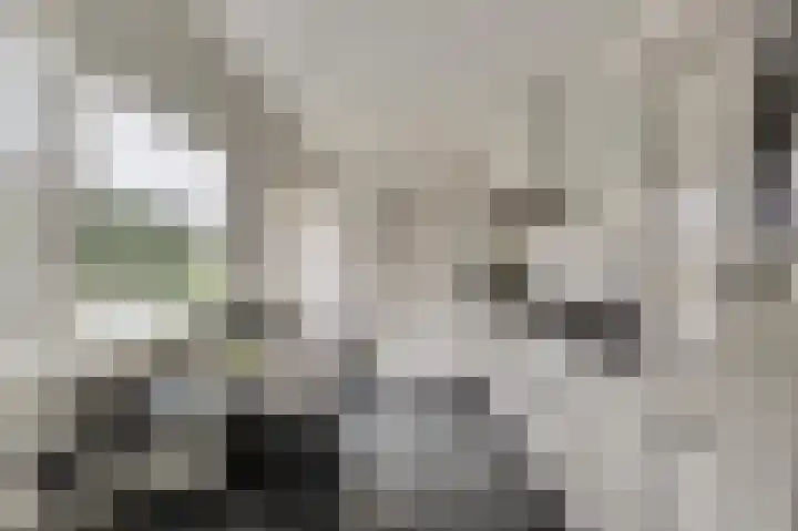Vincent van Goghstraat 5 Raamsdonksveer thumbnail 17
