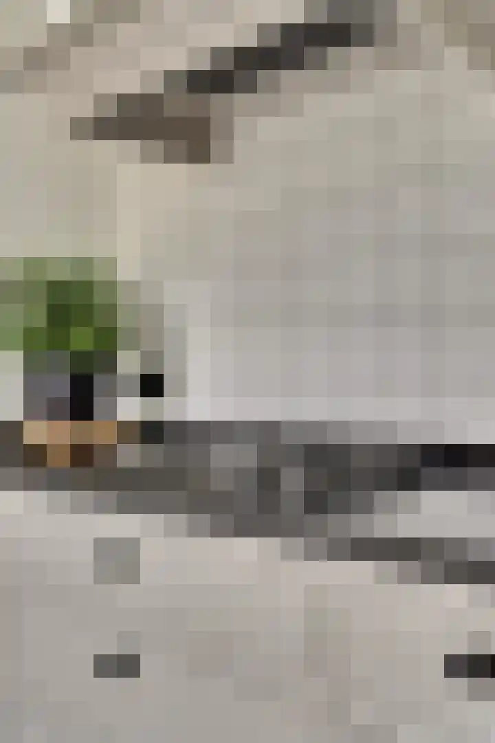 Vincent van Goghstraat 5 Raamsdonksveer thumbnail 19