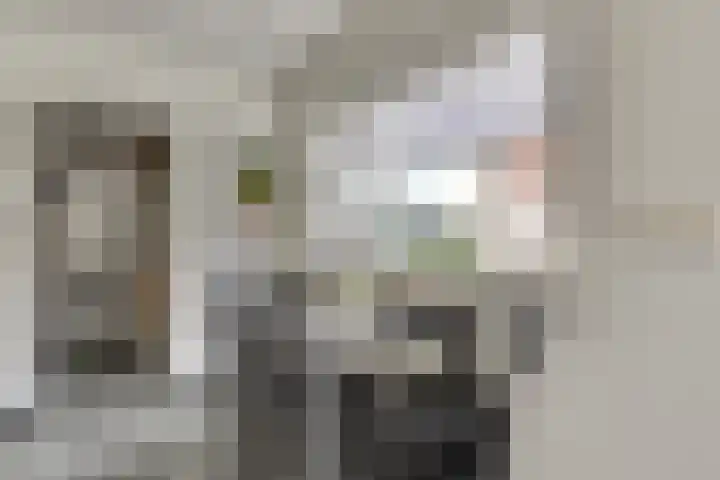 Vincent van Goghstraat 5 Raamsdonksveer thumbnail 21