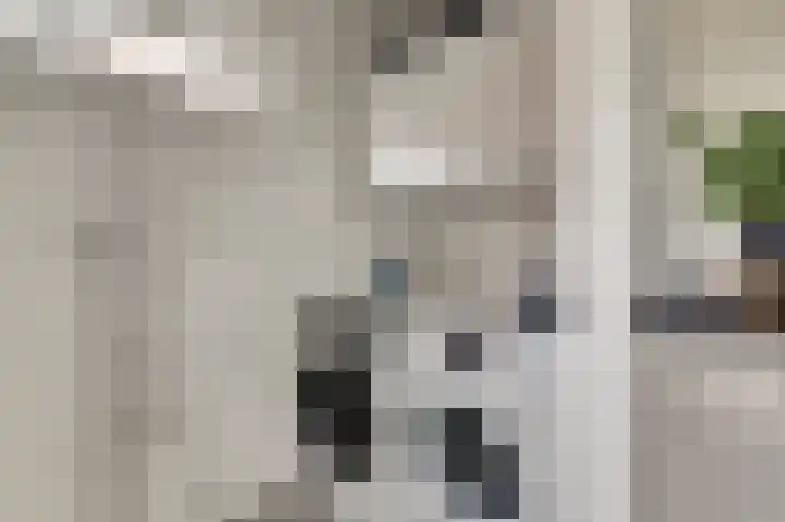 Vincent van Goghstraat 5 Raamsdonksveer thumbnail 22