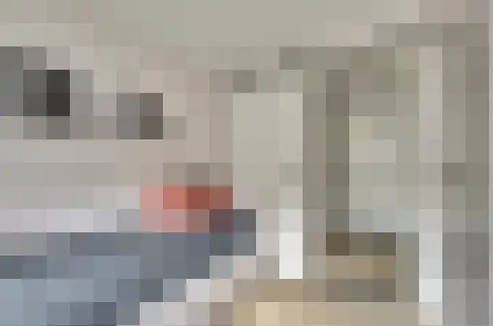 Vincent van Goghstraat 5 Raamsdonksveer thumbnail 26