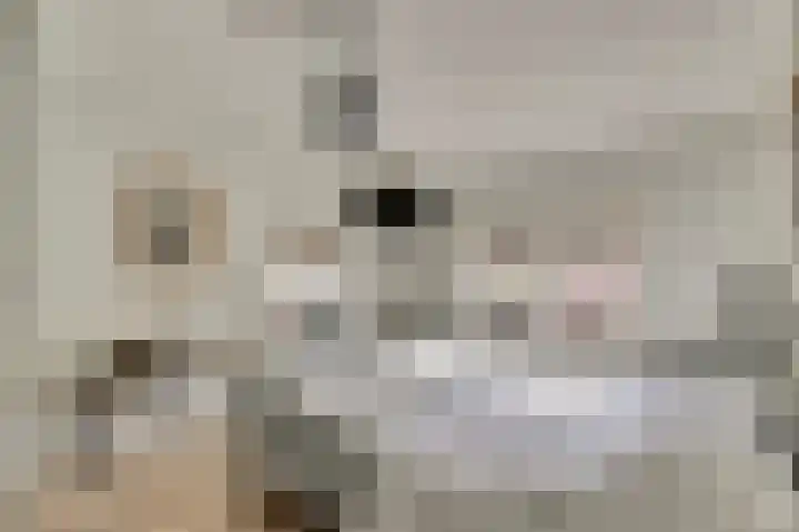 Vincent van Goghstraat 5 Raamsdonksveer thumbnail 27