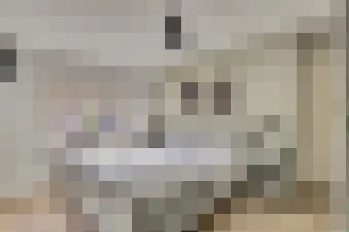 Vincent van Goghstraat 5 Raamsdonksveer thumbnail 28