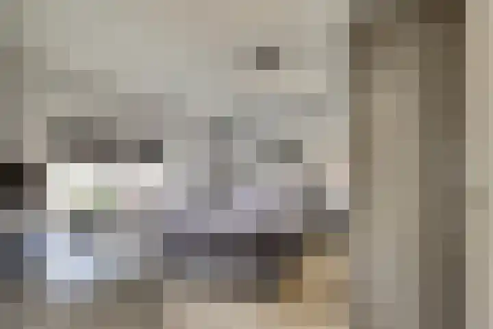 Vincent van Goghstraat 5 Raamsdonksveer thumbnail 29