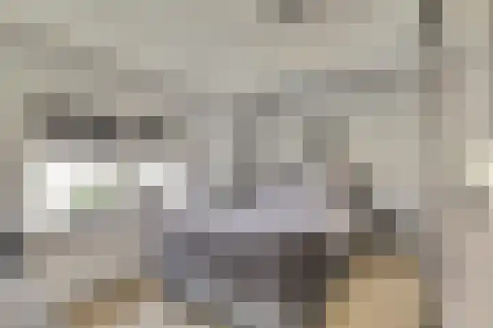 Vincent van Goghstraat 5 Raamsdonksveer thumbnail 30