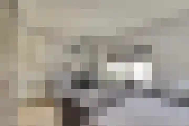 Vincent van Goghstraat 5 Raamsdonksveer thumbnail 31