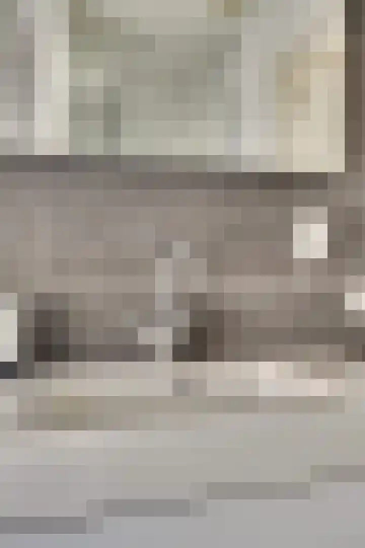 Vincent van Goghstraat 5 Raamsdonksveer thumbnail 33
