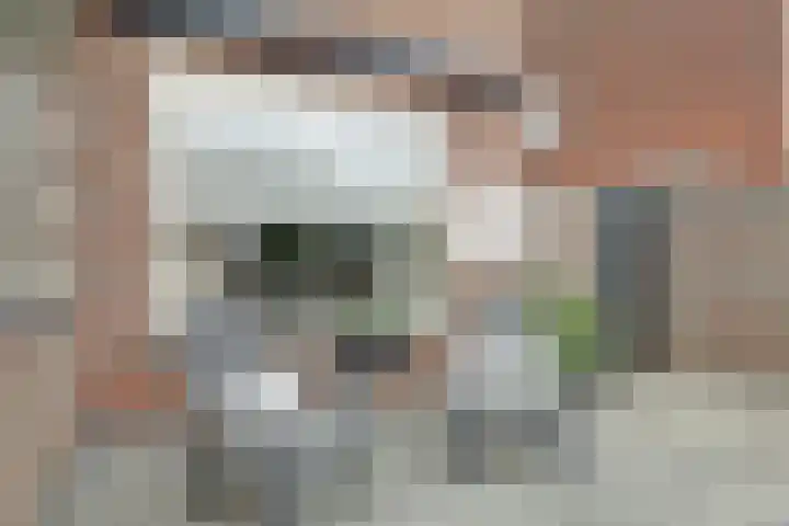 Vincent van Goghstraat 5 Raamsdonksveer thumbnail 35