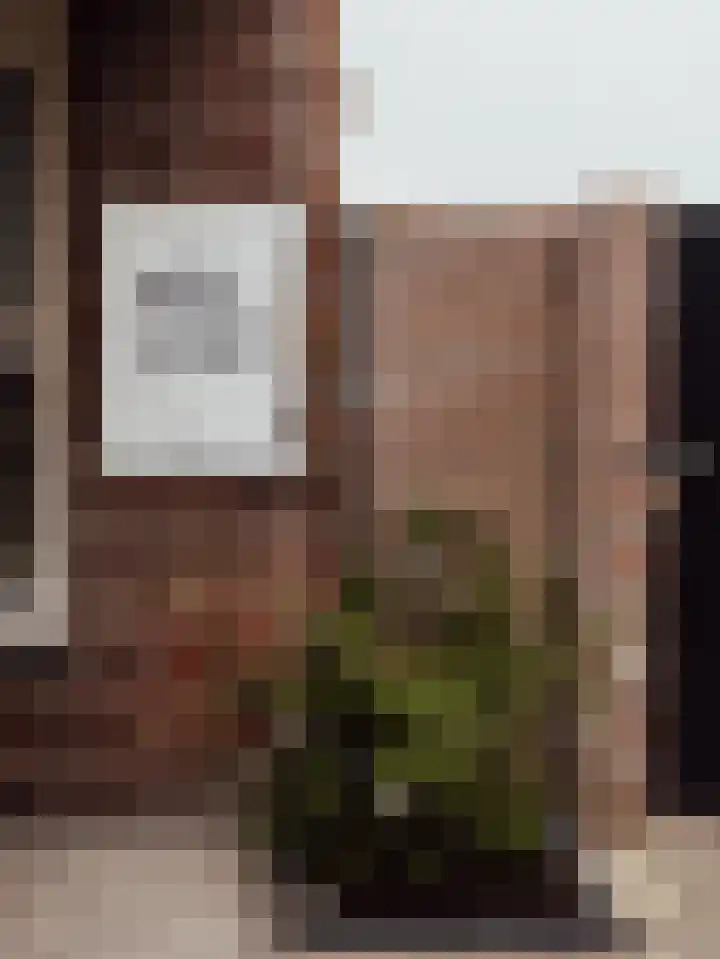 Vincent van Goghstraat 5 Raamsdonksveer thumbnail 40