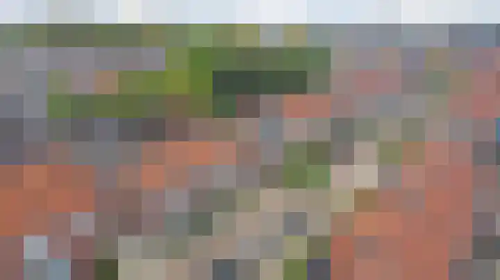 Vincent van Goghstraat 5 Raamsdonksveer thumbnail 43