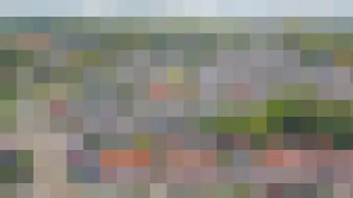 Vincent van Goghstraat 5 Raamsdonksveer thumbnail 44