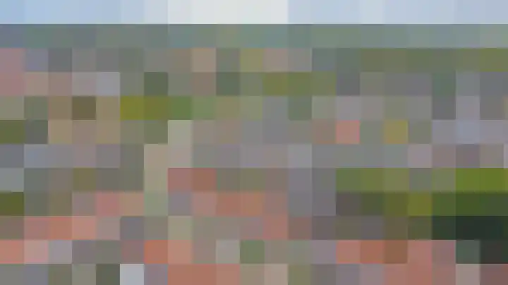 Vincent van Goghstraat 5 Raamsdonksveer thumbnail 45