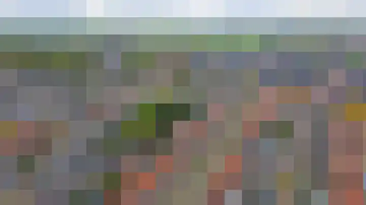 Vincent van Goghstraat 5 Raamsdonksveer thumbnail 46