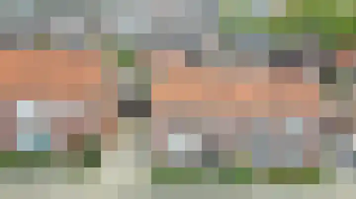 Vincent van Goghstraat 5 Raamsdonksveer thumbnail 48