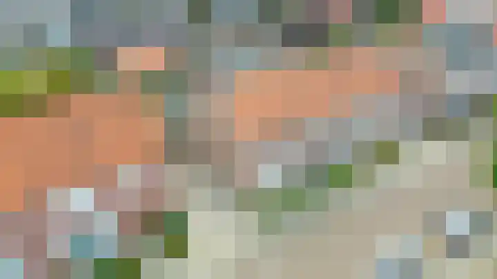 Vincent van Goghstraat 5 Raamsdonksveer thumbnail 50