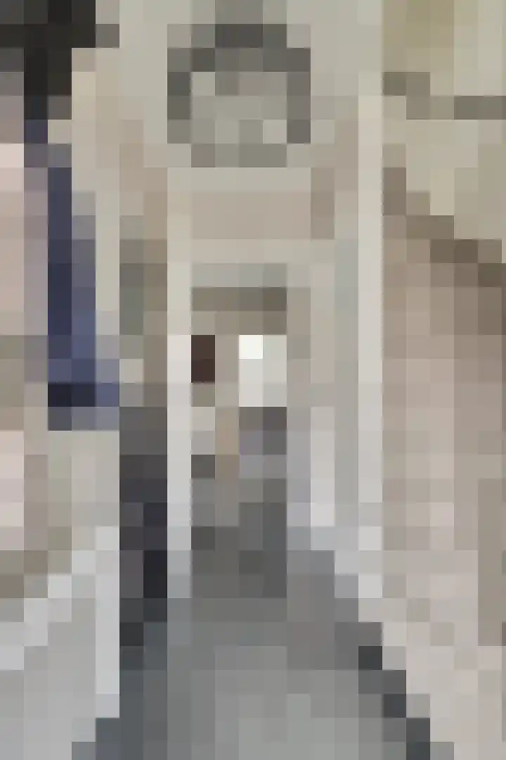 Vincent van Goghstraat 5 Raamsdonksveer thumbnail 7