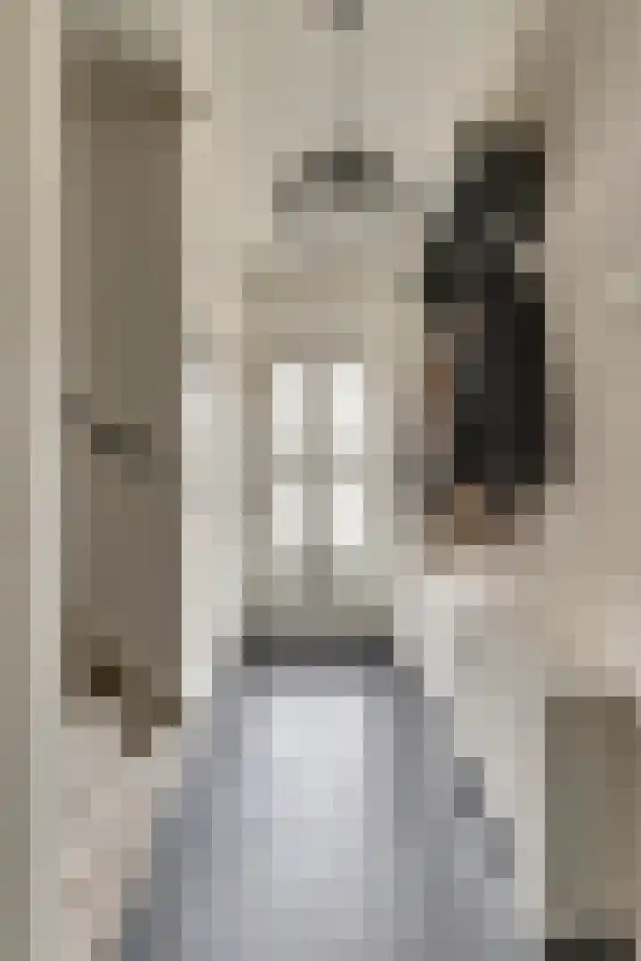 Vincent van Goghstraat 5 Raamsdonksveer thumbnail 8