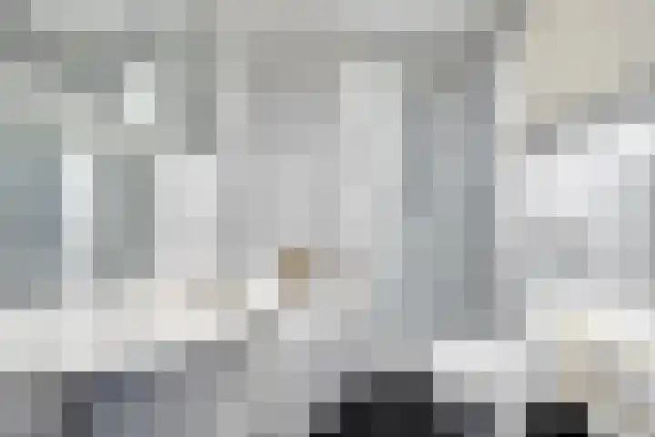 Vincent van Goghstraat 5 Veghel thumbnail 18