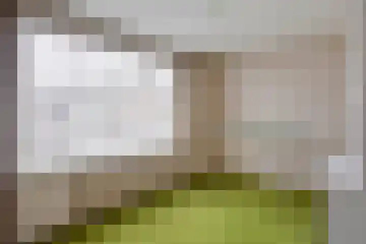 Vincent van Goghstraat 5 Veghel thumbnail 20