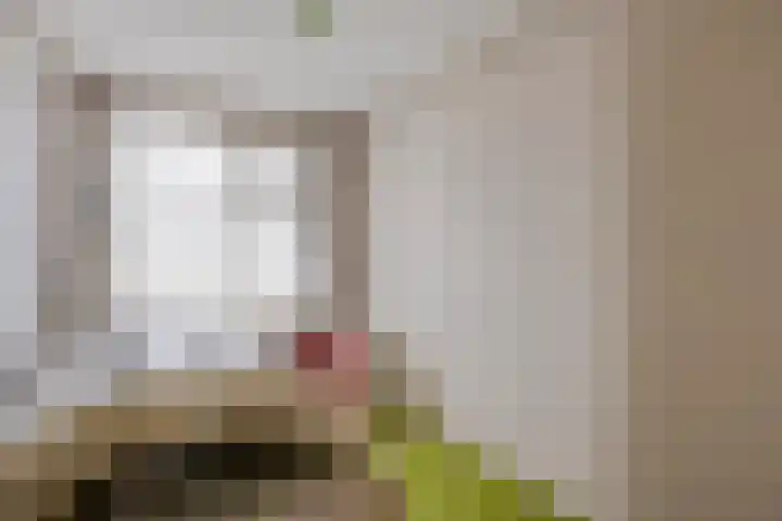 Vincent van Goghstraat 5 Veghel thumbnail 21