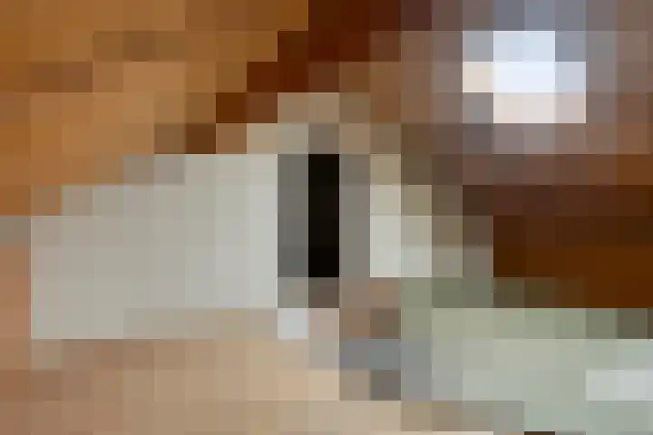 Vincent van Goghstraat 5 Veghel thumbnail 23