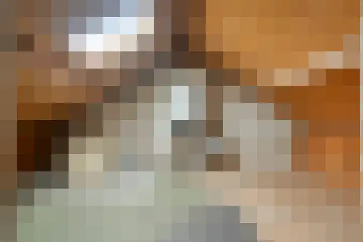 Vincent van Goghstraat 5 Veghel thumbnail 24