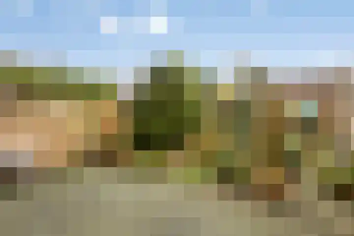 Vincent van Goghstraat 5 Veghel thumbnail 28