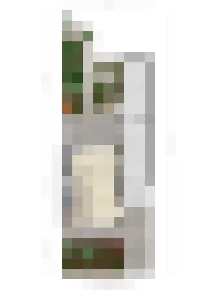 Vincent van Goghstraat 5 Veghel thumbnail 32