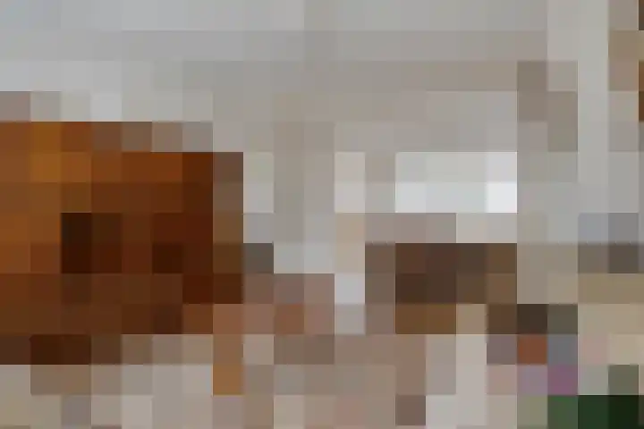 Vincent van Goghstraat 5 Veghel thumbnail 9