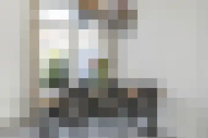 Vincent van Goghstraat 52 Breda thumbnail 27