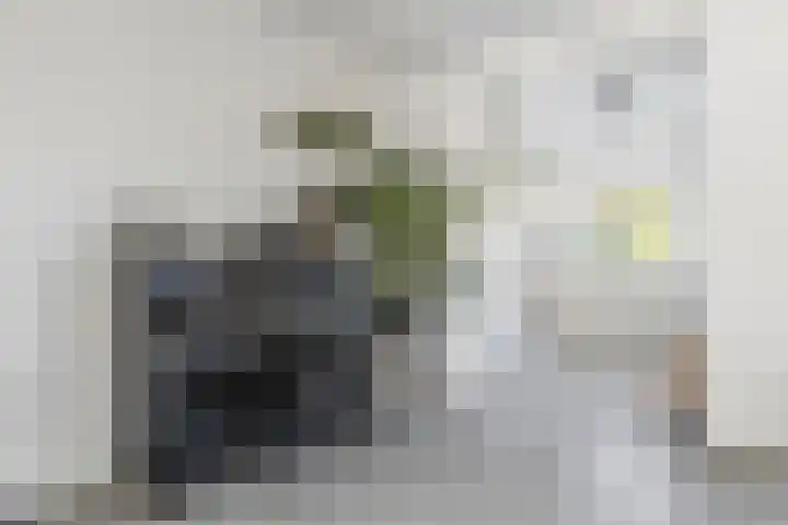 Vincent van Goghstraat 52 Breda thumbnail 32