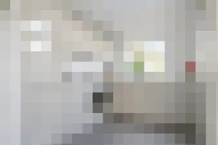 Vincent van Goghstraat 52 Breda thumbnail 35