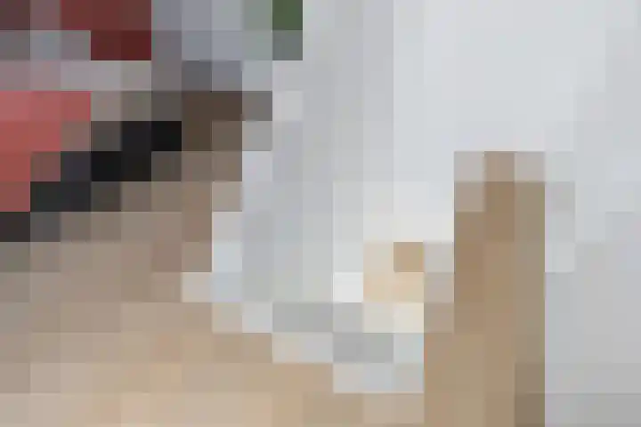 Vincent van Goghstraat 52 Breda thumbnail 62