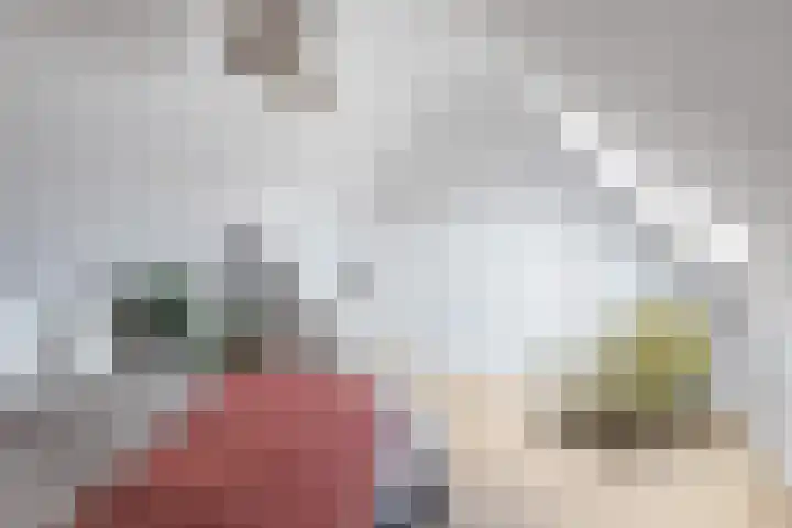 Vincent van Goghstraat 52 Breda thumbnail 65