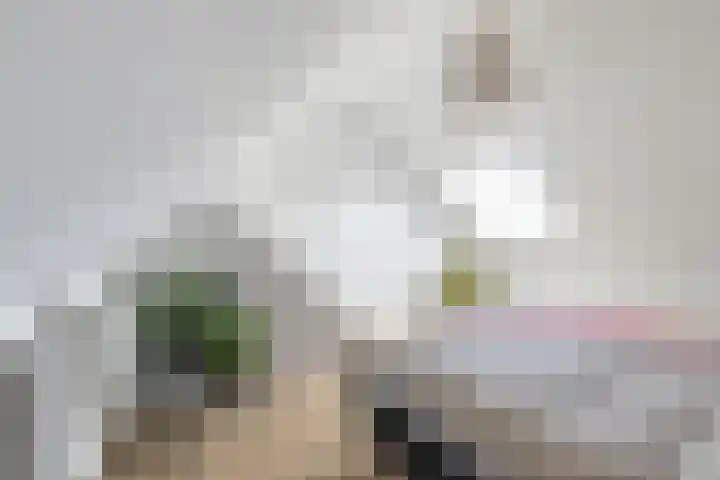 Vincent van Goghstraat 52 Breda thumbnail 66