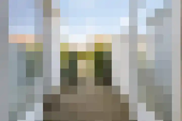 Vincent van Goghstraat 52 Breda thumbnail 68