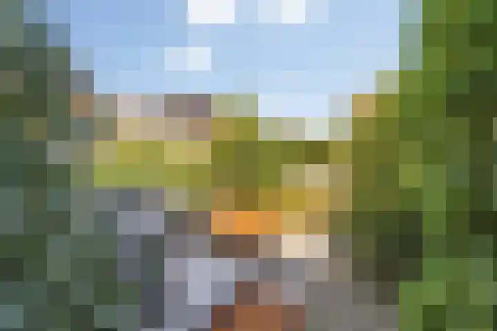 Vincent van Goghstraat 52 Breda thumbnail 71