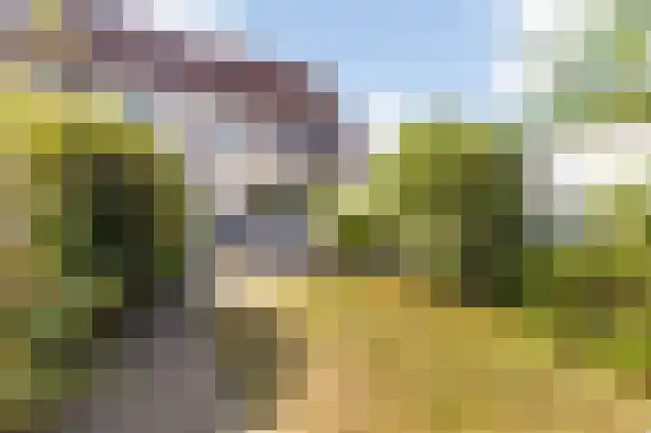 Vincent van Goghstraat 52 Breda thumbnail 74