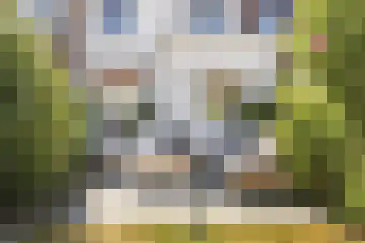 Vincent van Goghstraat 52 Breda thumbnail 76