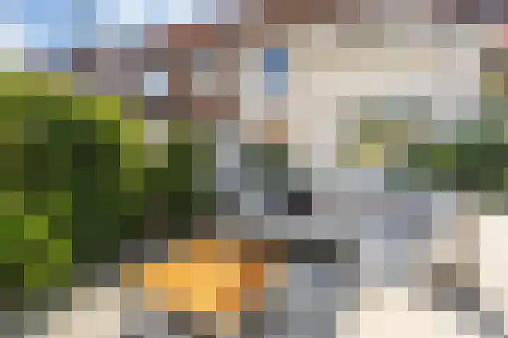 Vincent van Goghstraat 52 Breda thumbnail 78