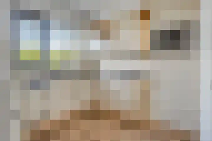 Vincent van Goghstraat 53 Nuenen thumbnail 10