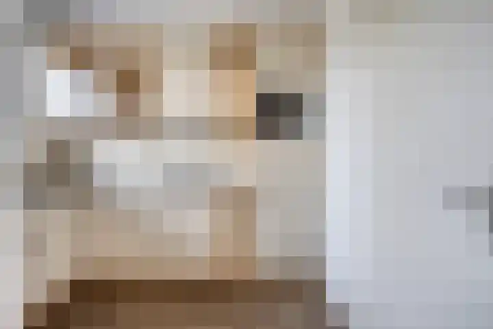 Vincent van Goghstraat 53 Nuenen thumbnail 12