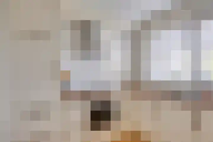 Vincent van Goghstraat 59 Nuenen thumbnail 10
