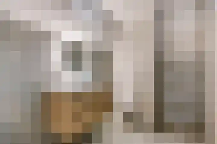 Vincent van Goghstraat 59 Nuenen thumbnail 19