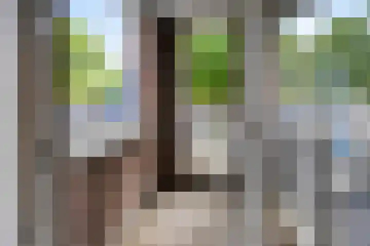 Vincent van Goghstraat 59 Nuenen thumbnail 22