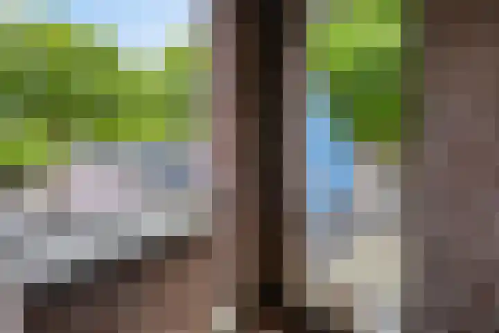 Vincent van Goghstraat 59 Nuenen thumbnail 23