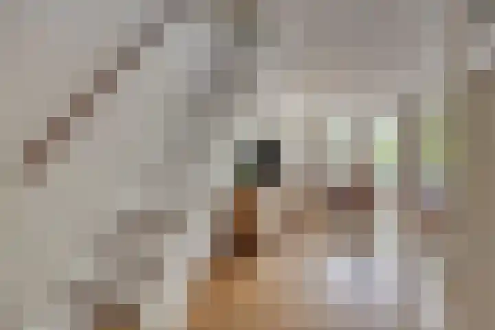 Vincent van Goghstraat 59 Nuenen thumbnail 5