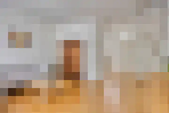 Vincent van Goghstraat 59 Nuenen thumbnail 9