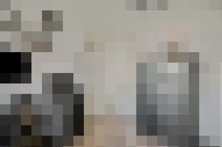 Vincent van Goghstraat 6 Ede thumbnail 19